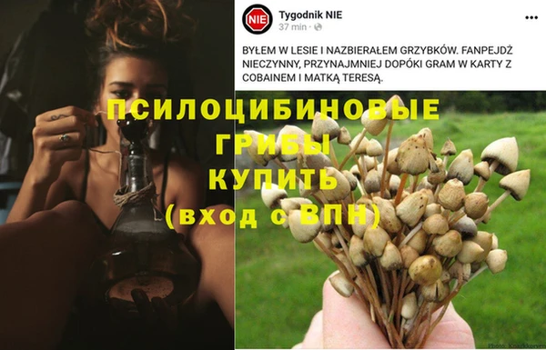 дистиллят марихуана Абаза